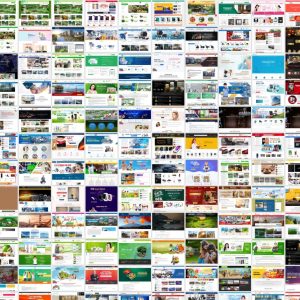 HaiTranBlog.com: Chia sẻ về cách xây dựng Blog, MMO và Digital Product (Sản Phẩm Số) kho theme Flatsome giá rẻ